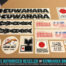 Factory Correct 1984-1985 Kuwahara Exhibitionist BMX Decal Stickers