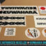 Factory Correct 1983-1984 Kuwahara Survivor BMX Decal Stickers