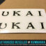Factory Correct Ukai Rim Wheel BMX Decal Stickers