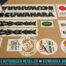 Factory Correct 1983-1984 Kuwahara Nova BMX Decal Stickers
